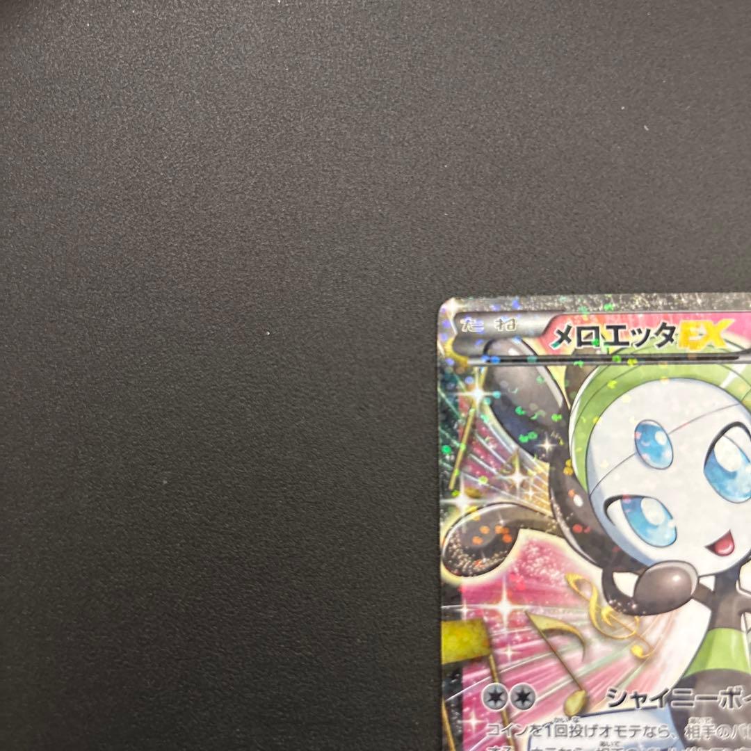 メロエッタ　SR