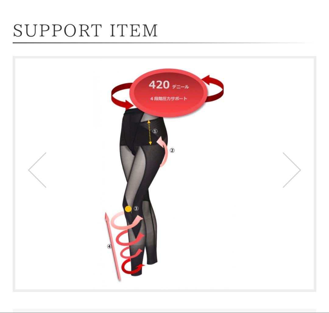 420 SPATS フルサポートスパッツ 新品未使用未開封　サイズTL