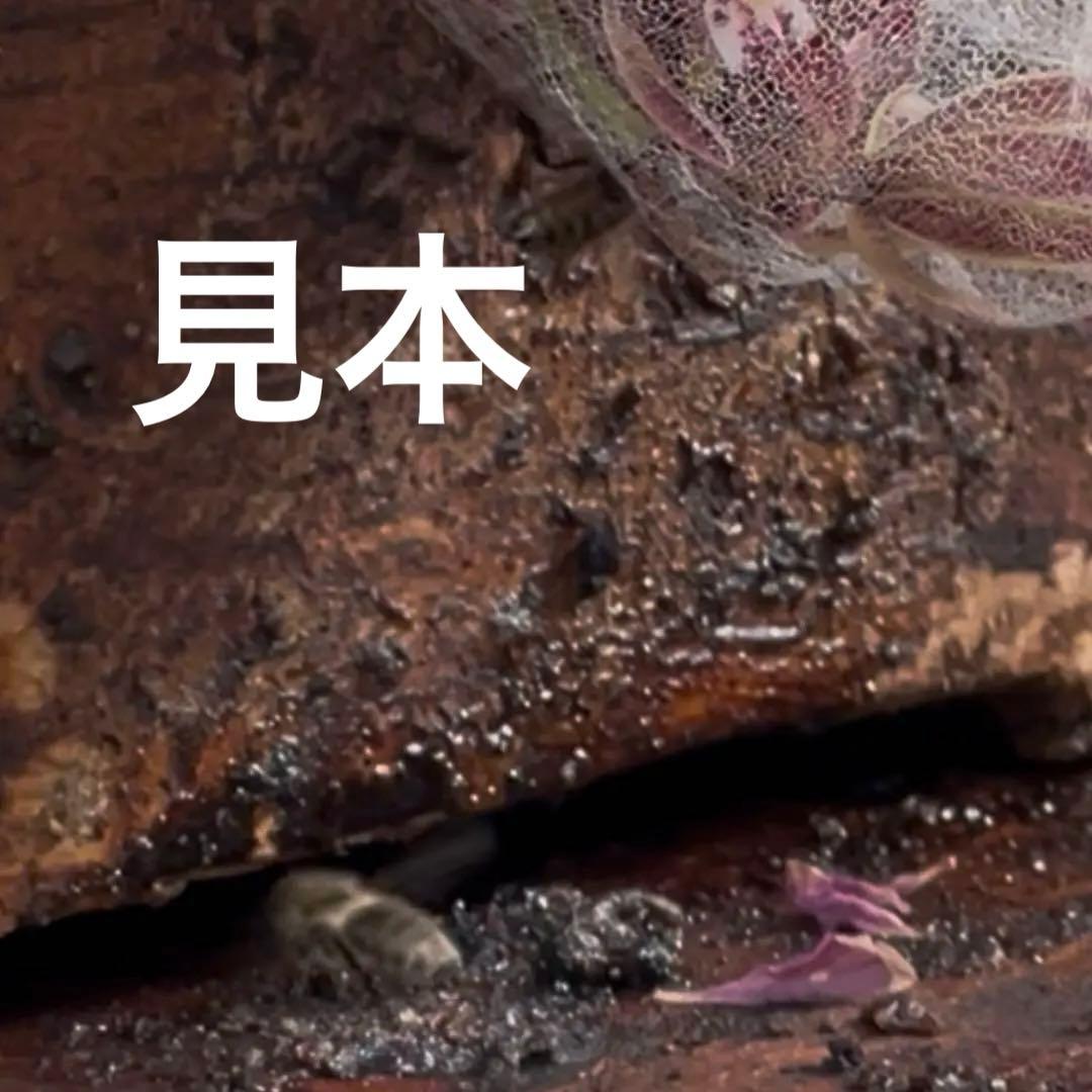日本ミツバチ重箱式巣箱　手作り　4段　　　2