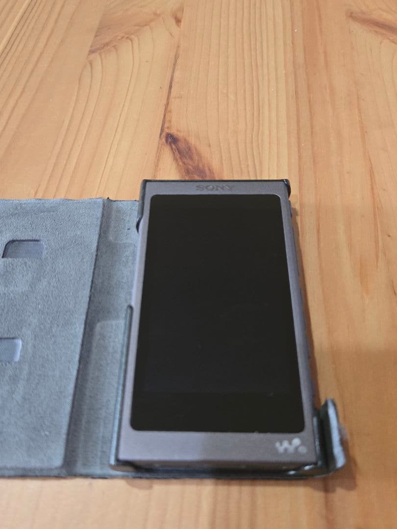 SONY ウォークマン NW-A45 本体と付属品